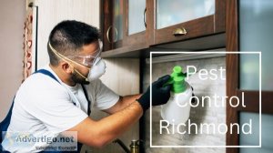 Pest control richmond