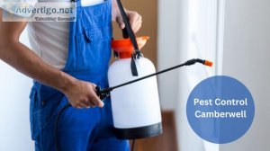 Pest control camberwell