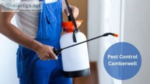 Pest control camberwell
