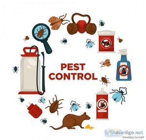 Certified pest control services in gurgaon