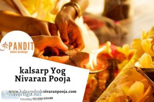 Remove the defects by doing kalsarp yog puja from kaalsarp ravi 