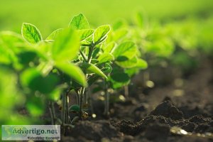 Global bio pesticides market share, size, trends, growth, analys