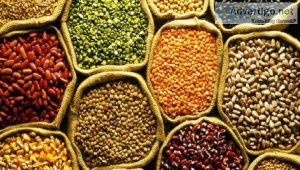 India seed market share, size, trends, growth, analysis and fore