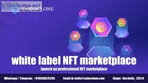 White label nft marketplace- launch a professional nft marketpla