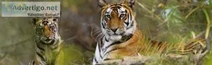 Sundarban tour 1 night 2 days - br holidays