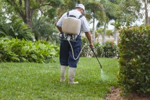 Plymouth five star pest control service