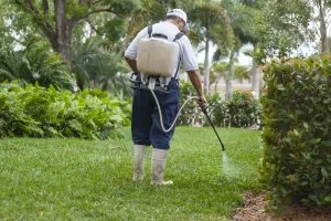 Plymouth five star pest control service