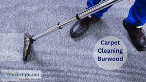 Carpet cleaning burwood
