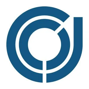 Finance executive search | corporate cfo executive recruiters ? 