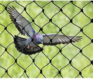 Birds entry control strip curtain manufacturers