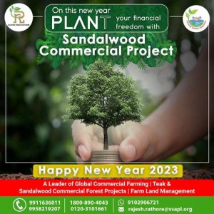 The best agroforestry brand in india | vatican shona agrotech
