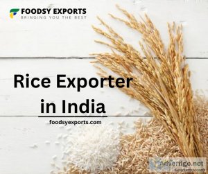 Rice exporter in india | foodsy exports