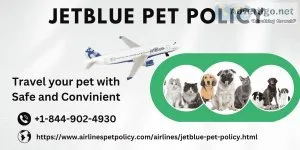 Dial +1-844-902-4930 for jetblue pet policy
