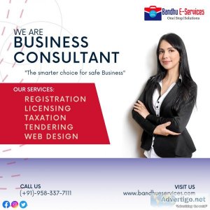 Business consultant