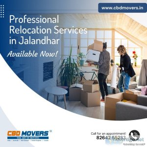 Choose the right packers and movers in jalandhar