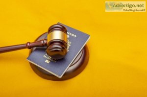 Top immigration lawyer in toronto