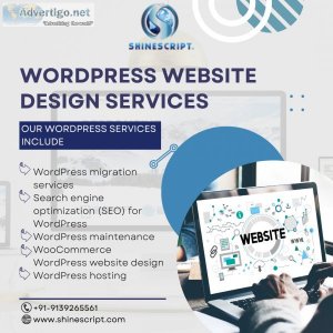 Website design & development company in pune