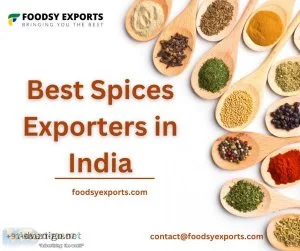 Best spice exporters in india | foodsy exports