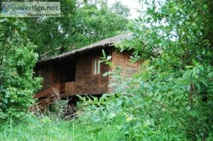 Best resorts in pench for couples | family resorts in pench nati