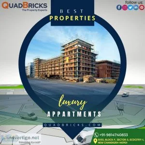 Best property in chandigarh & zirakpur