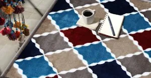 Sapana online - hues of fall with rugs from portland & mashael