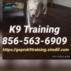 We control all breeds k9 control
