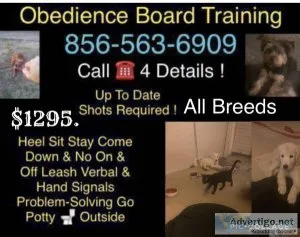 We handle out of control dogs