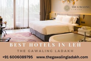 Best hotels in leh