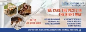 Pest control