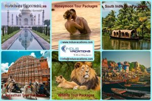 India tour packages - indus vacations