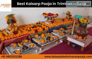Seek blessings and ward off malefic effects with kalsarp pooja i