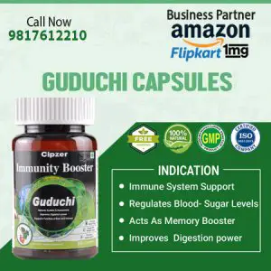 Guduchi capsule removes toxins from the kidney and liver & purif