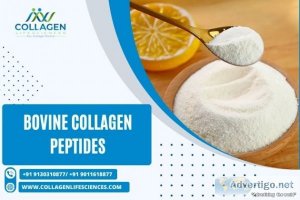Bovine collagen peptides manufacturers in nashik