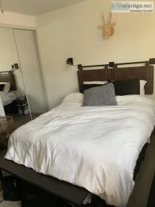 Nice two rooms available for rent
