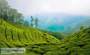 Kerala tour packages