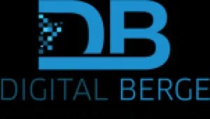 Hire professional seo company in delhi ncr - digital berge