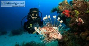 Scuba diving packages in port blair