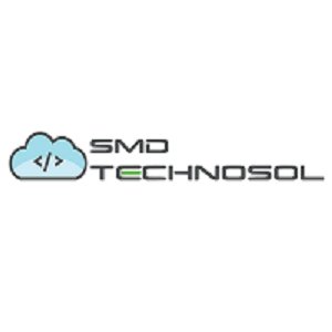 It consulting companies texas