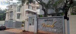 Rainforest woods: luxury 4bhk villa with private pool in assagao