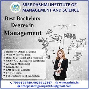 Best bachelors degree in management