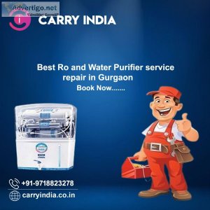 Ro service repair in gurgaon | carry india