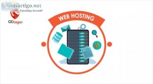 Wordpress hosting protection services | ci dragon