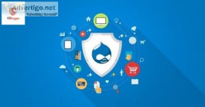 Drupal hosting protection services | ci dragon