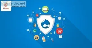 Drupal hosting protection services | ci dragon