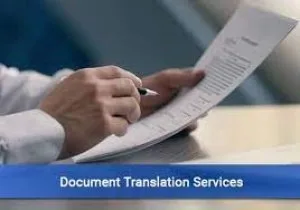 Document translation services: professional translation from exp