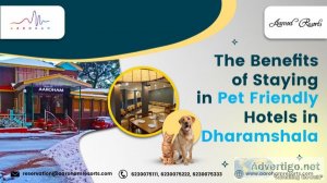 The benefits of staying in pet friendly hotels in dharamshala