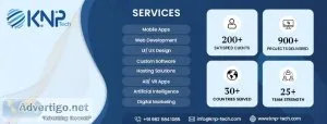 Custom software development services in india