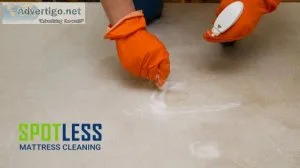 Mattress mould removal