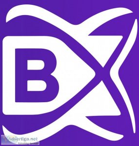 Blockchain development company