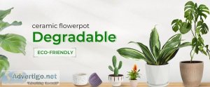 Biodegradable ceramic flowerpot nordic, desktop flower succulent